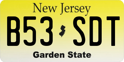 NJ license plate B53SDT