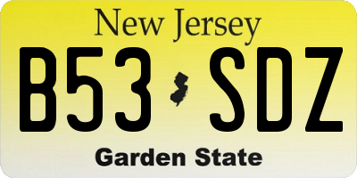 NJ license plate B53SDZ