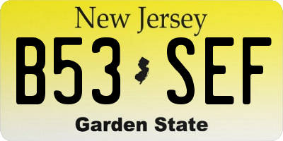 NJ license plate B53SEF