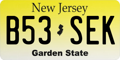 NJ license plate B53SEK
