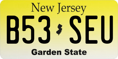 NJ license plate B53SEU