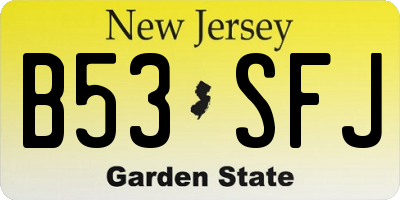 NJ license plate B53SFJ