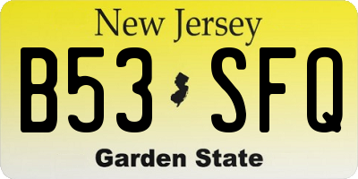 NJ license plate B53SFQ