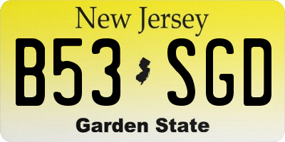 NJ license plate B53SGD