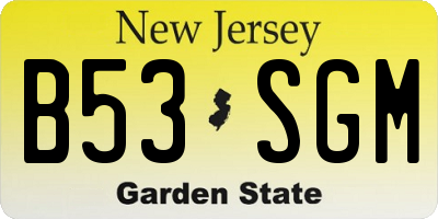 NJ license plate B53SGM