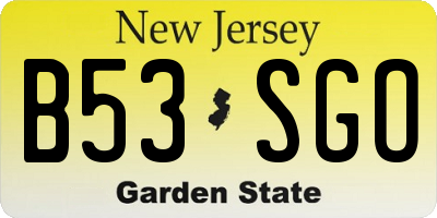 NJ license plate B53SGO