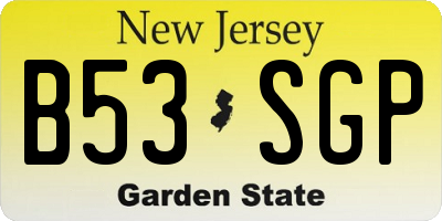 NJ license plate B53SGP