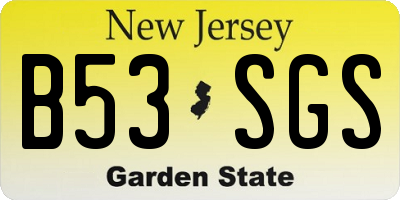 NJ license plate B53SGS