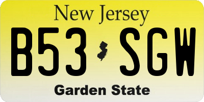 NJ license plate B53SGW