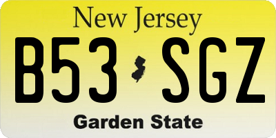 NJ license plate B53SGZ
