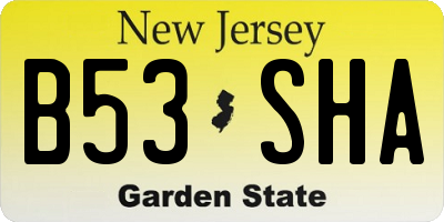 NJ license plate B53SHA