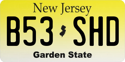 NJ license plate B53SHD