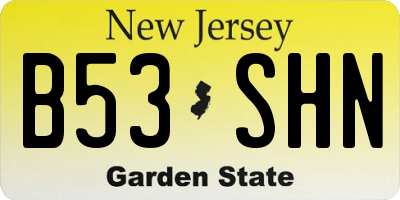 NJ license plate B53SHN