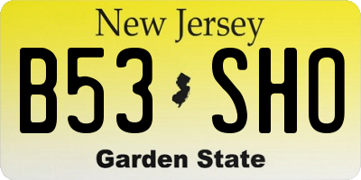 NJ license plate B53SHO