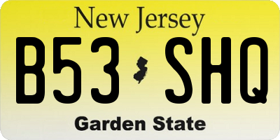 NJ license plate B53SHQ