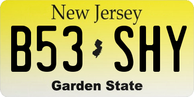 NJ license plate B53SHY
