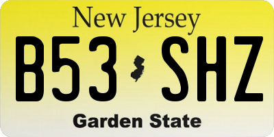 NJ license plate B53SHZ
