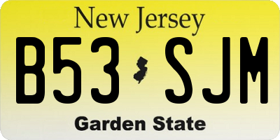 NJ license plate B53SJM