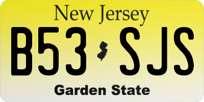 NJ license plate B53SJS
