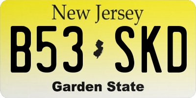 NJ license plate B53SKD