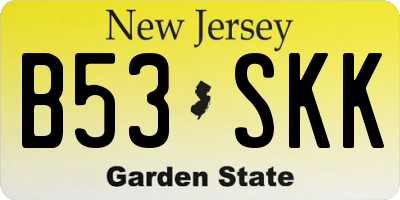 NJ license plate B53SKK