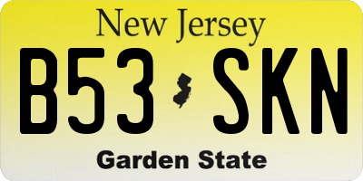 NJ license plate B53SKN