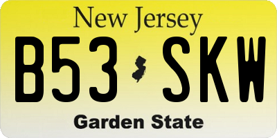NJ license plate B53SKW