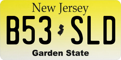 NJ license plate B53SLD