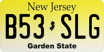 NJ license plate B53SLG