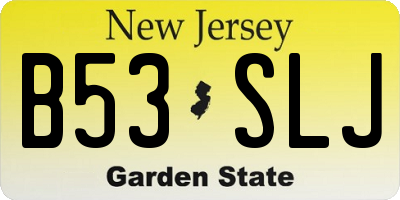 NJ license plate B53SLJ