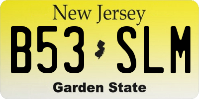 NJ license plate B53SLM