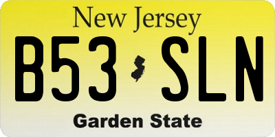 NJ license plate B53SLN