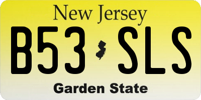 NJ license plate B53SLS