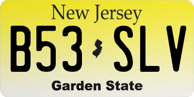 NJ license plate B53SLV