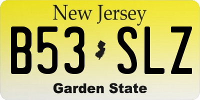 NJ license plate B53SLZ