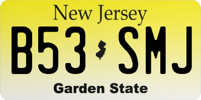 NJ license plate B53SMJ