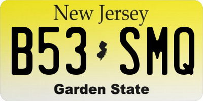 NJ license plate B53SMQ