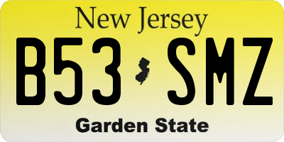 NJ license plate B53SMZ
