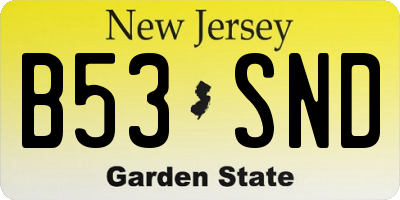 NJ license plate B53SND