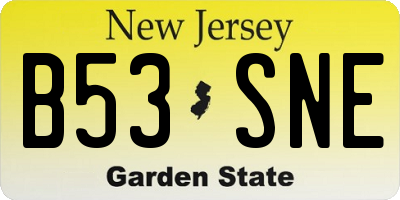 NJ license plate B53SNE