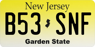 NJ license plate B53SNF