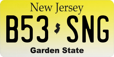 NJ license plate B53SNG