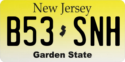 NJ license plate B53SNH