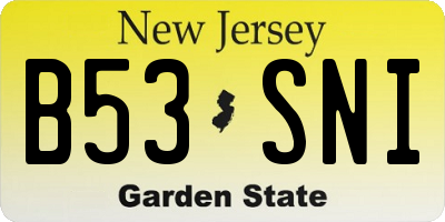 NJ license plate B53SNI