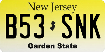 NJ license plate B53SNK