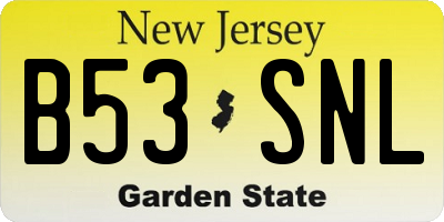 NJ license plate B53SNL