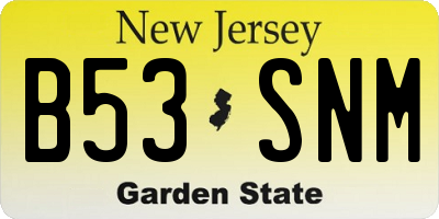 NJ license plate B53SNM