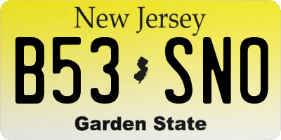 NJ license plate B53SNO