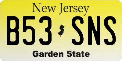 NJ license plate B53SNS