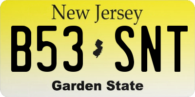 NJ license plate B53SNT